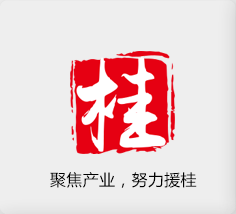 聚焦产业，努力援桂